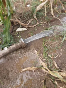 Mentenanta puturi 2026